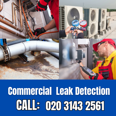 Commercial Leak Detection Services in East Wickham | East Wickham Leak Detection